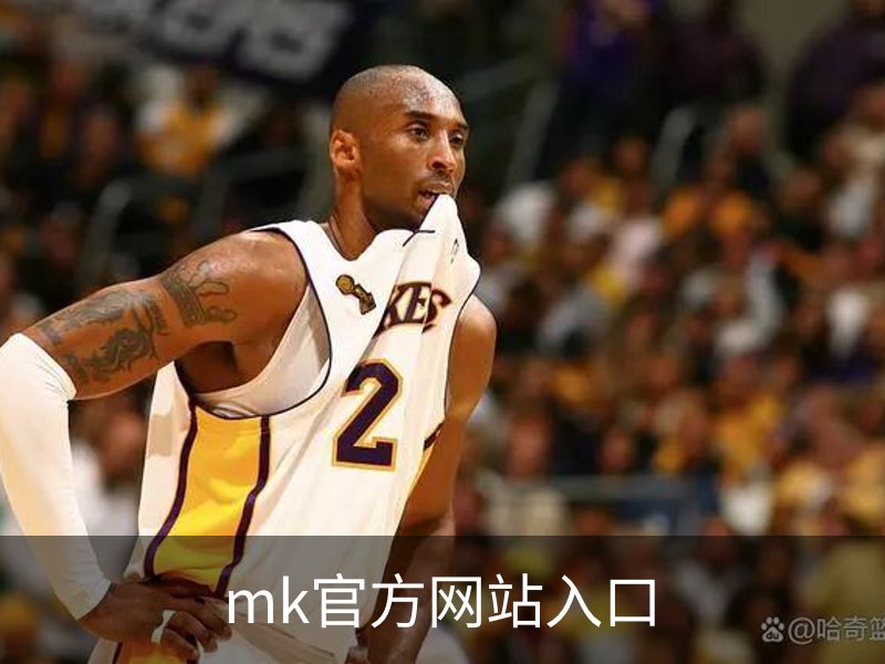 mk官方网站入口简介